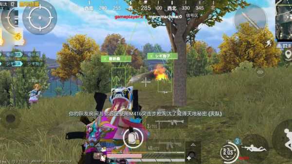 和平精英《独行者》外挂